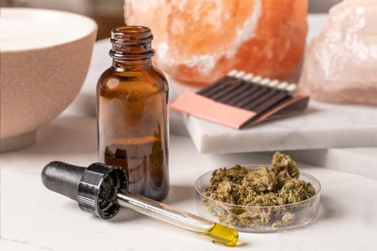 What Do Pet Owners Have to Know About CBD Oil For Dogs?
