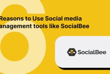 6 Reasons Why You Should Use Social media management tools like SocialBee for Social Media Management