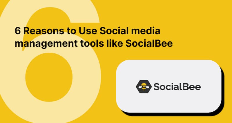 6 Reasons Why You Should Use Social media management tools like SocialBee for Social Media Management