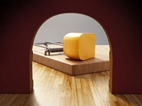 Tips For Hiring a Mouse Exterminator