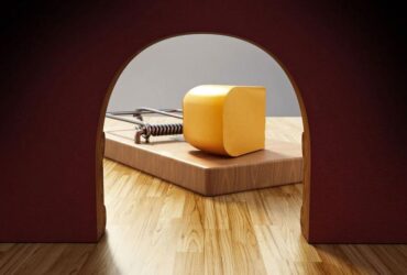 Tips For Hiring a Mouse Exterminator