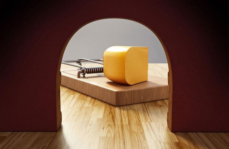 Tips For Hiring a Mouse Exterminator