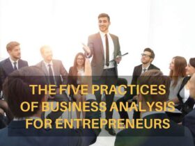 The Five Practices of Business Analysis for Entrepreneurs