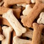 How to Keep Your Healthy with premium pet products?