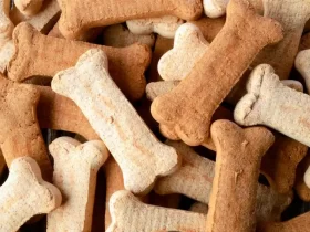 How to Keep Your Healthy with premium pet products?