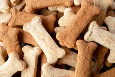 How to Keep Your Healthy with premium pet products?