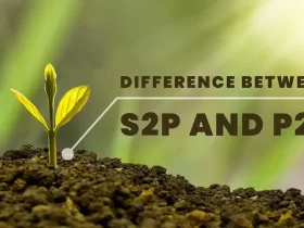 Difference Between S2P and P2P