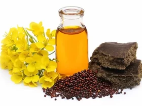 Sarson Ka Tel - A Secret Ingredient for Successful Cooking