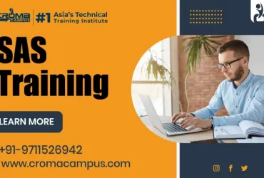 Why Learn SAS and How to Become a SAS Professional