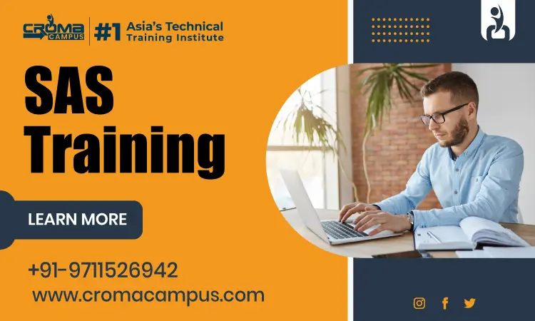 Why Learn SAS and How to Become a SAS Professional