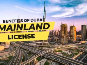 Benefits of Dubai Mainland License