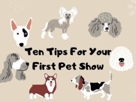 Ten Guidelines for Your First Pet Show