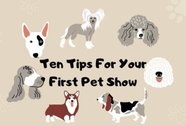 Ten Guidelines for Your First Pet Show