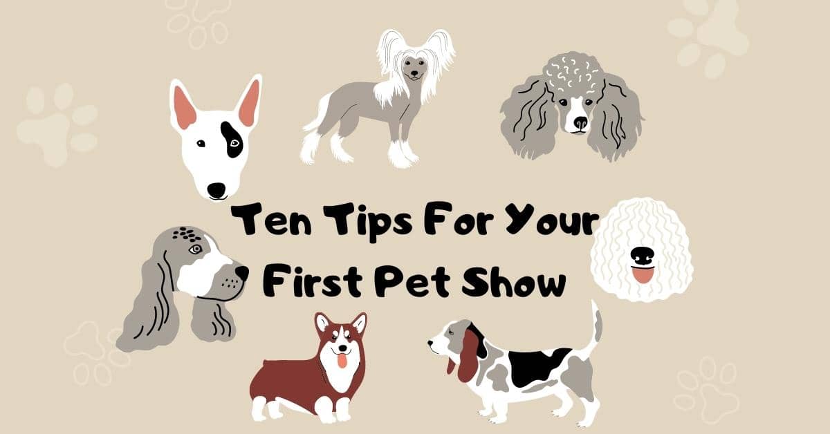 Ten Guidelines for Your First Pet Show