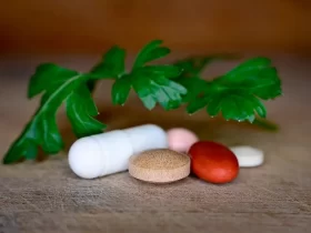 Digestion and Immunity with the MD Vites’ Supplements for Gut