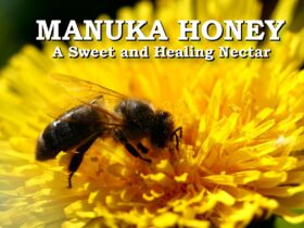 Manuka Honey A Sweet and Healing Nectar