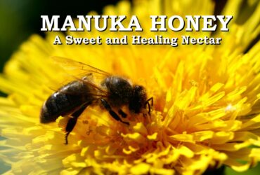 Manuka Honey A Sweet and Healing Nectar