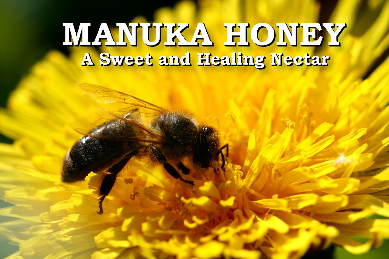 Manuka Honey A Sweet and Healing Nectar