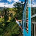 6 Luxurious Rail Excursions Across the USA’s Scenic Routes