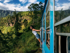 6 Luxurious Rail Excursions Across the USA’s Scenic Routes