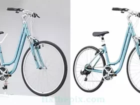 Clipping Path Service