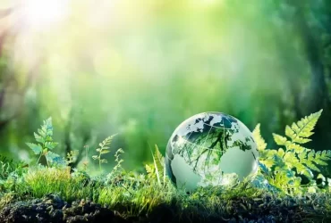 eco friendly pest control near me