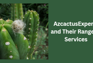 Cactus Experts in Mesa