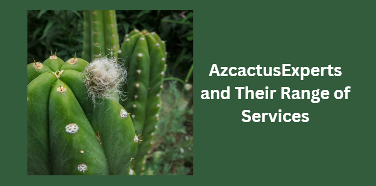 Cactus Experts in Mesa