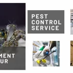 spider treatment for house