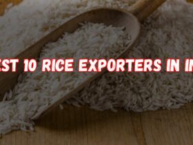 Best 10 Rice Exporters In India