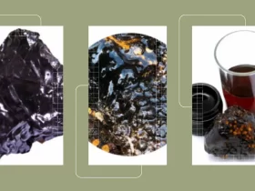 Does Shilajit Assist In Weight Loss