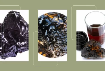 Does Shilajit Assist In Weight Loss