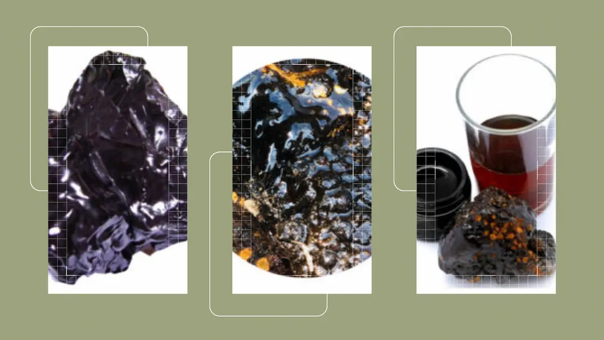 Does Shilajit Assist In Weight Loss