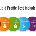 Lipid Profile Test