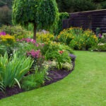 Pest Control Edmonton