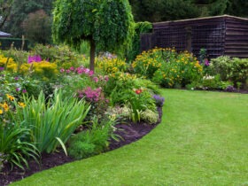 Pest Control Edmonton