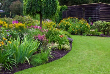 Pest Control Edmonton