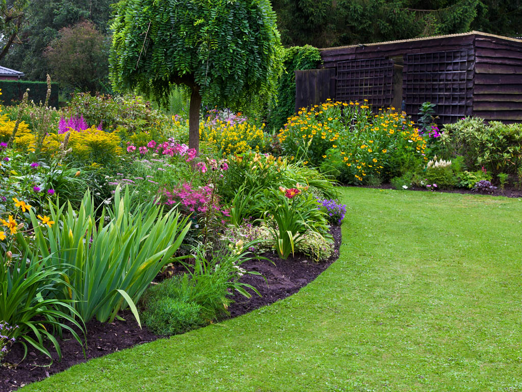 Pest Control Edmonton