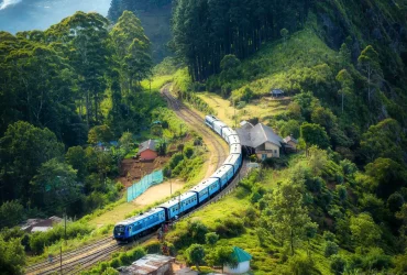 Why Sri Lanka Belongs on Every Traveler’s Bucket List